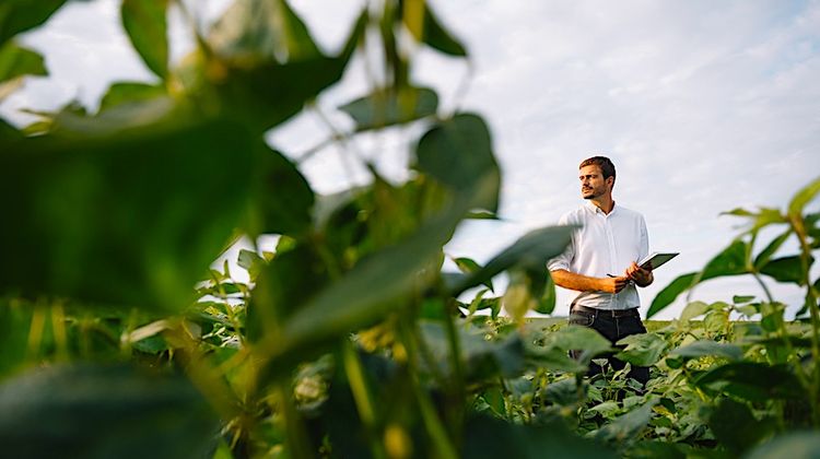 LIDEA ACADEMY – Pour une approche agile, simple et efficace avec Euralis